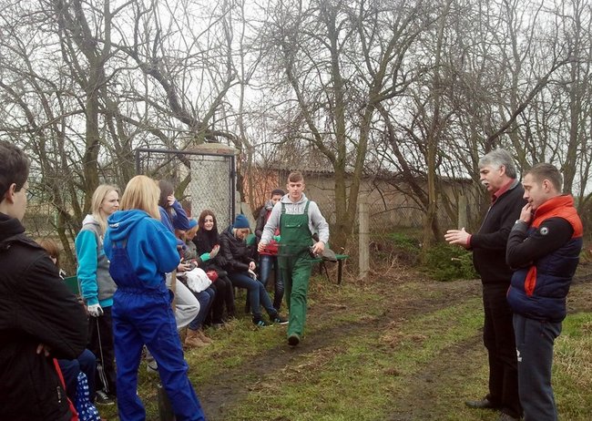 Posadzili tysiące drzew - zdjęcia