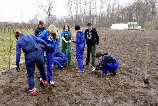 Posadzili tysiące drzew - zdjęcia