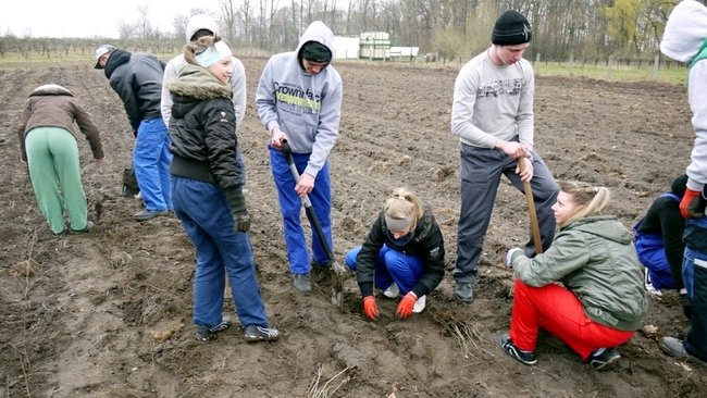 Posadzili tysiące drzew - zdjęcia