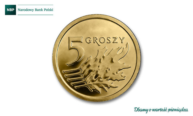 Nowe banknoty trafią do obiegu
