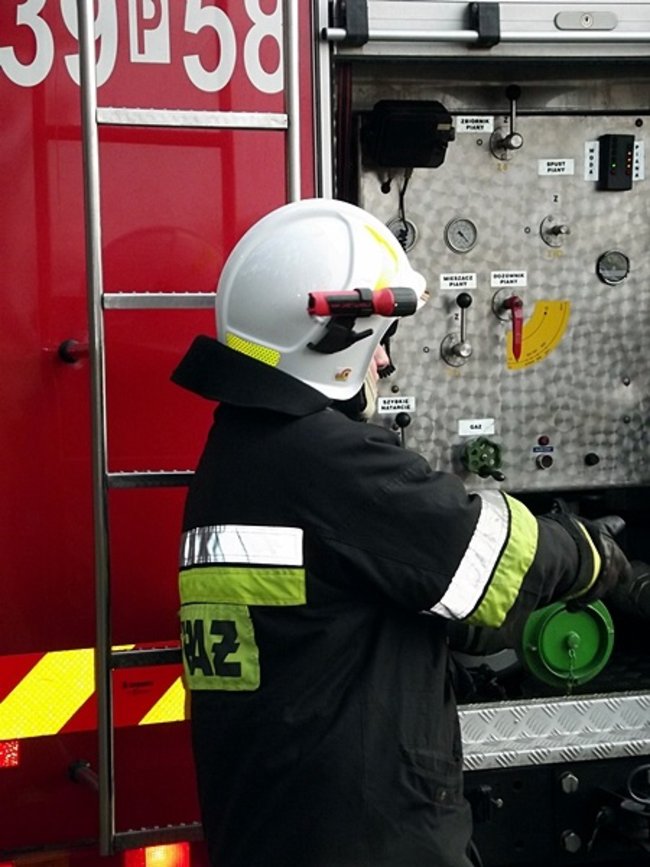 Płonął las - zdjęcia