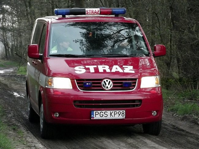 Płonął las - zdjęcia