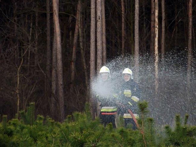 Płonął las - zdjęcia