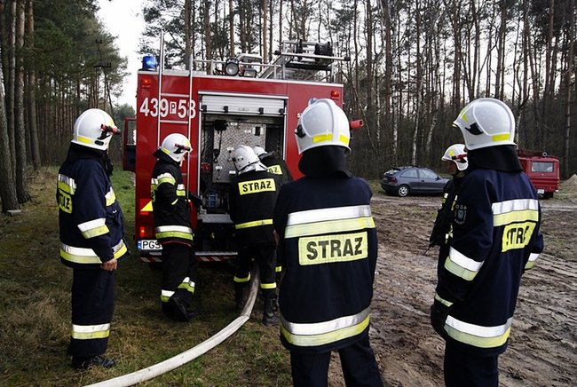 Płonął las - zdjęcia