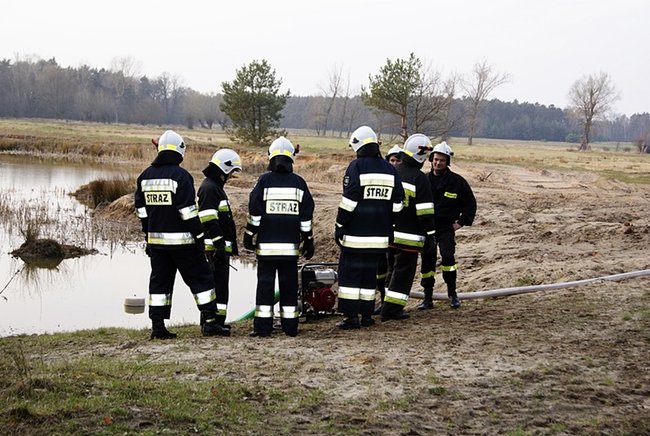 Płonął las - zdjęcia