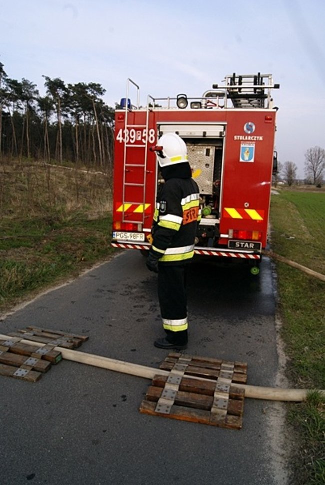 Płonął las - zdjęcia