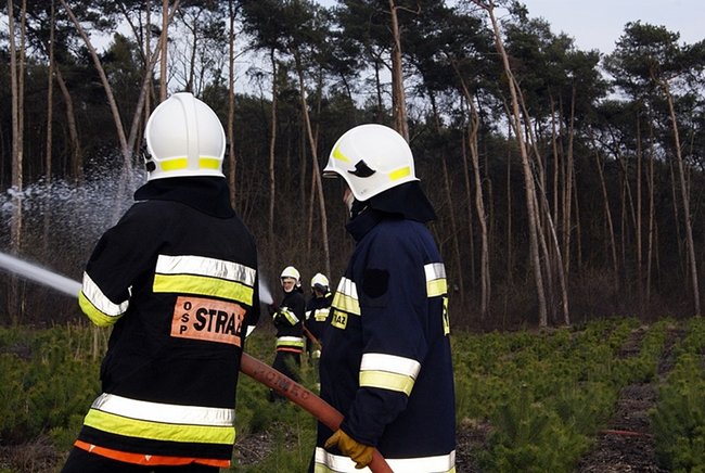 Płonął las - zdjęcia