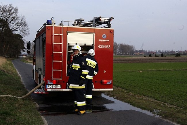 Płonął las - zdjęcia