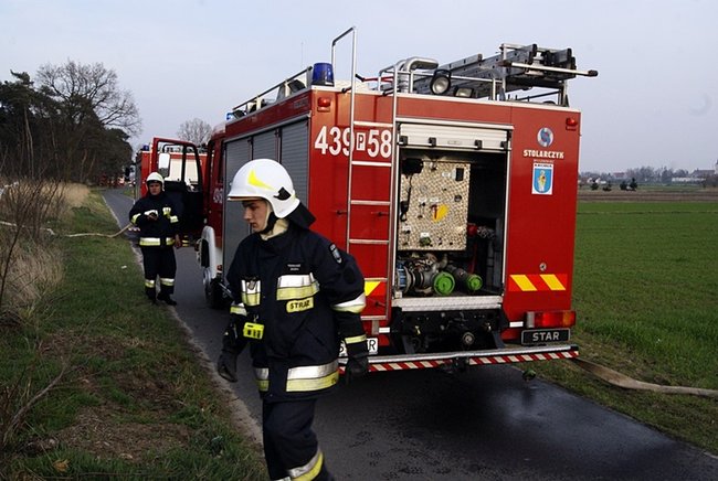 Płonął las - zdjęcia