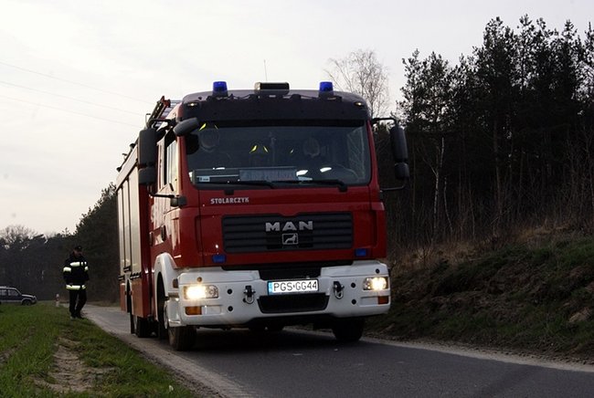 Płonął las - zdjęcia