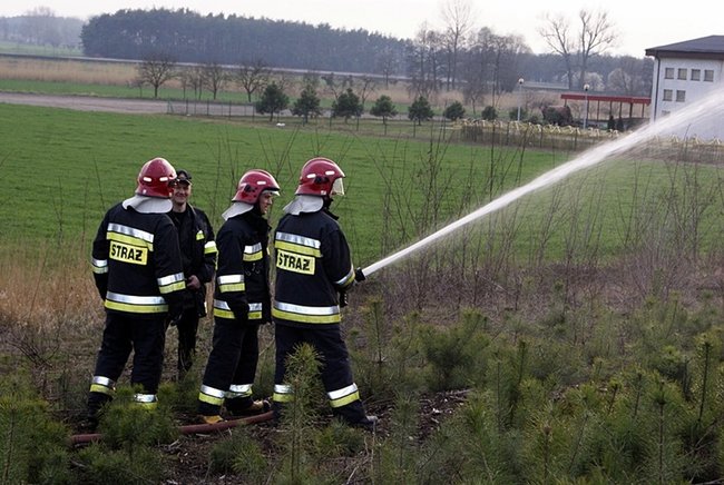 Płonął las - zdjęcia