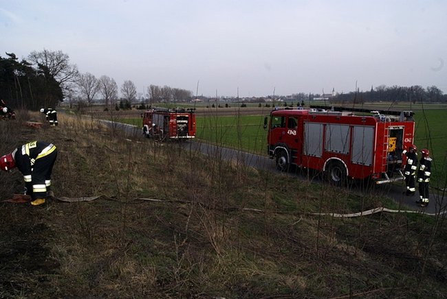 Płonął las - zdjęcia