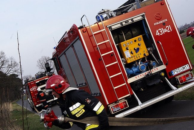 Płonął las - zdjęcia