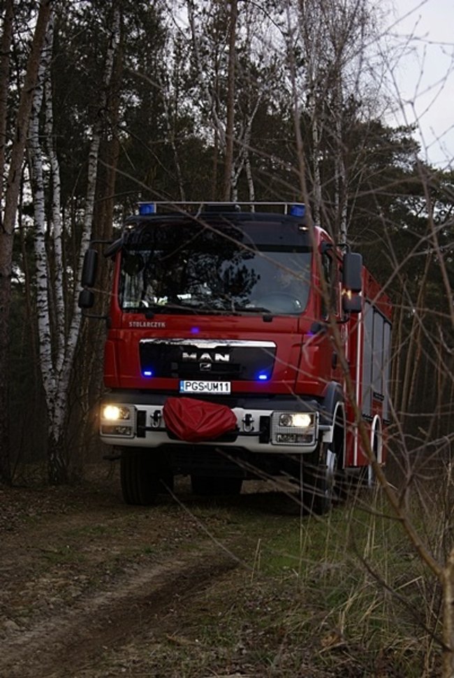 Płonął las - zdjęcia