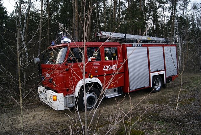 Płonął las - zdjęcia