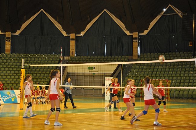 Zachowały więcej zimnej krwi - zdjęcia