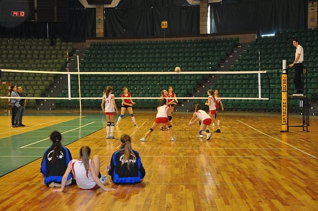 Zachowały więcej zimnej krwi - zdjęcia