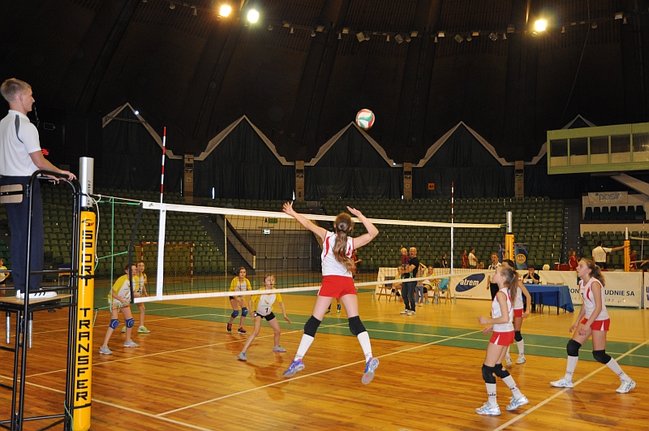 Zachowały więcej zimnej krwi - zdjęcia