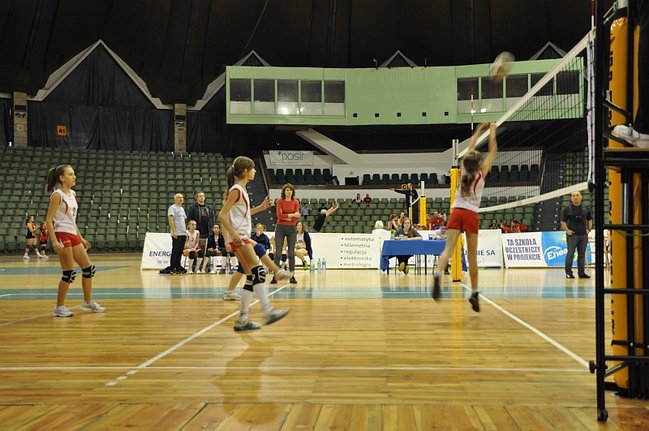 Zachowały więcej zimnej krwi - zdjęcia