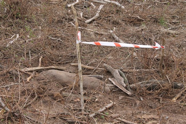 Odkrywają kolejne bomby - zdjęcia