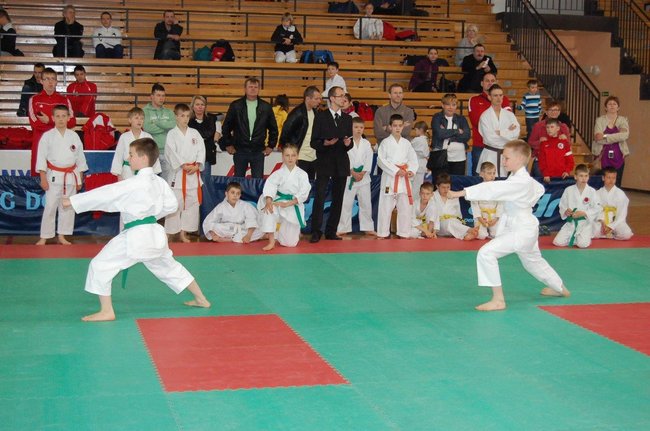 Karatecy znów nie zawiedli - zdjęcia