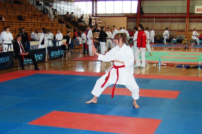 Karatecy znów nie zawiedli - zdjęcia