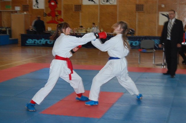 Karatecy znów nie zawiedli - zdjęcia