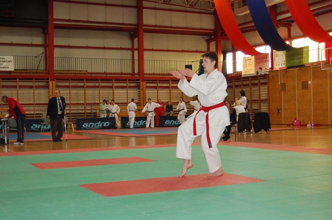 Karatecy znów nie zawiedli - zdjęcia