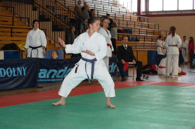 Karatecy znów nie zawiedli - zdjęcia
