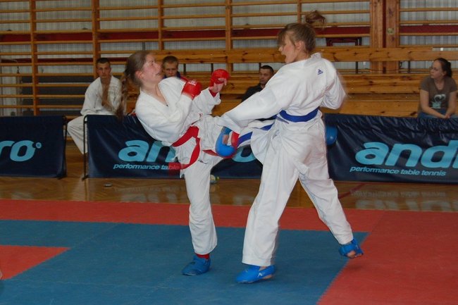 Karatecy znów nie zawiedli - zdjęcia