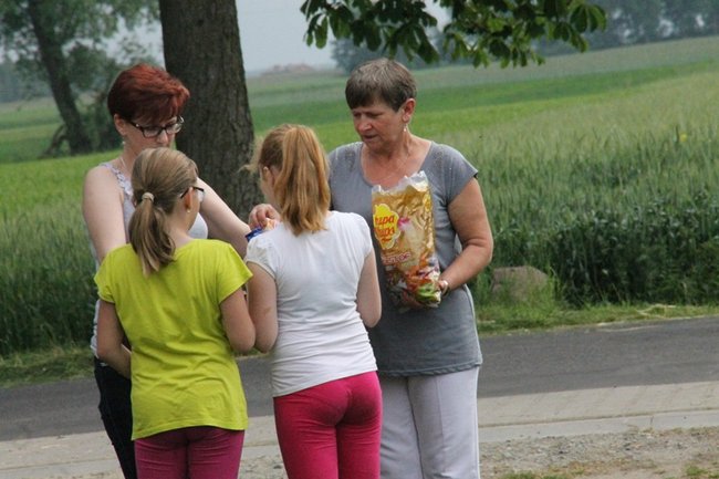 Festyn i wystawa staroci - zdjęcia