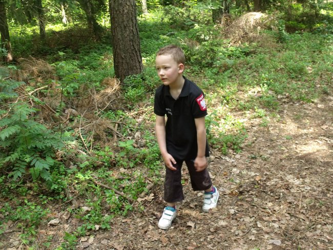 Kolejny sukces Biegu Wiosny - zdjęcia