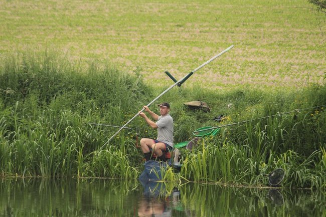 Leszcz na wagę pucharu - zdjęcia