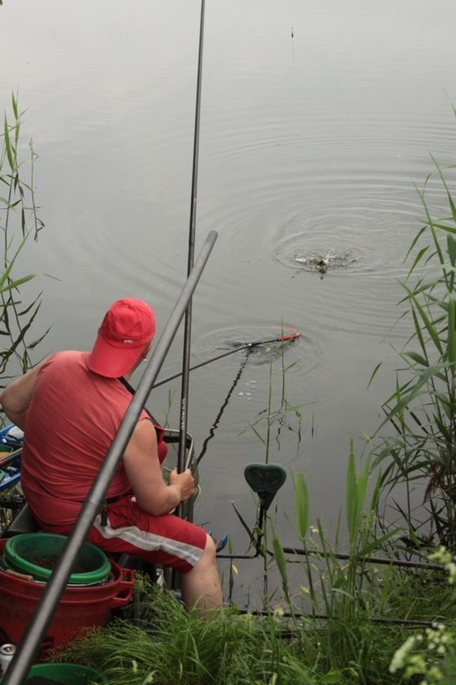 Leszcz na wagę pucharu - zdjęcia
