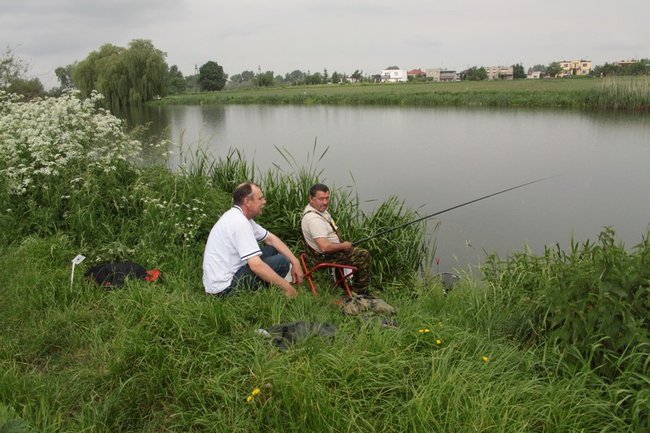 Leszcz na wagę pucharu - zdjęcia