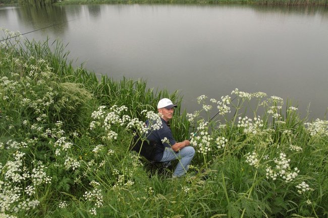 Leszcz na wagę pucharu - zdjęcia