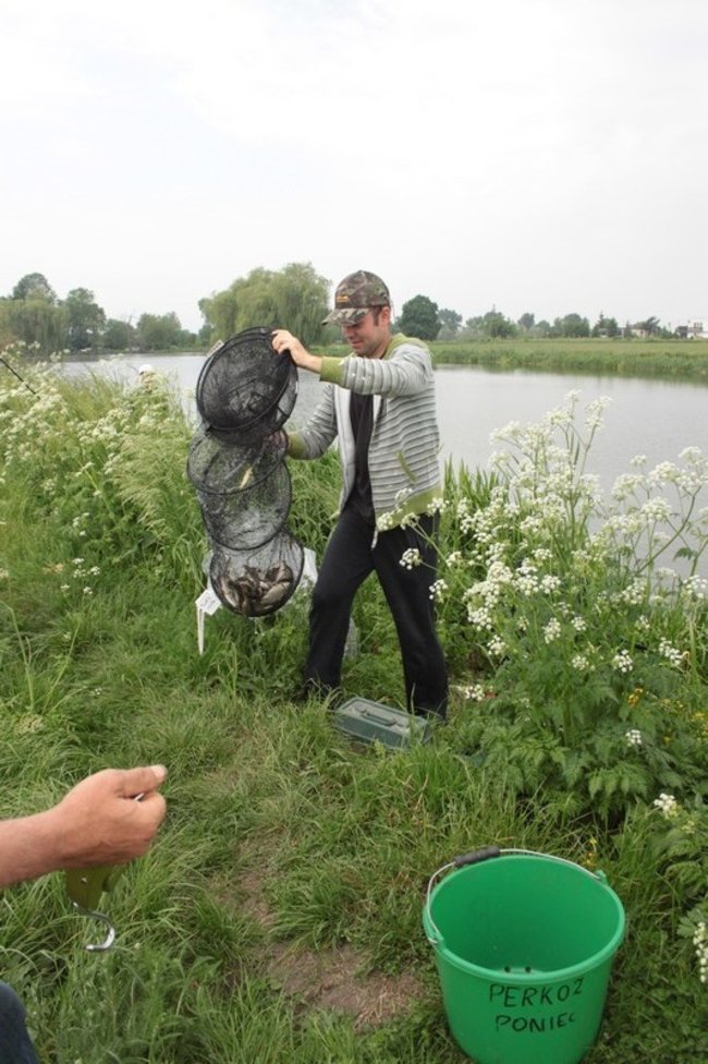 Leszcz na wagę pucharu - zdjęcia