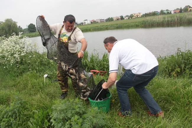 Leszcz na wagę pucharu - zdjęcia