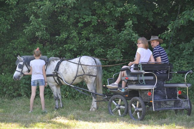 Bawiły się nie tylko dzieci - zdjęcia
