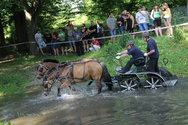 Niezwykle widowiskowa impreza - zdjęcia