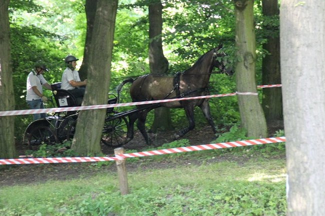 Niezwykle widowiskowa impreza - zdjęcia