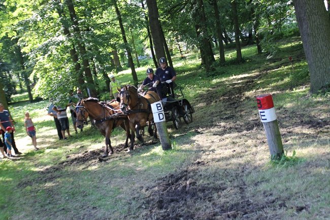 Niezwykle widowiskowa impreza - zdjęcia