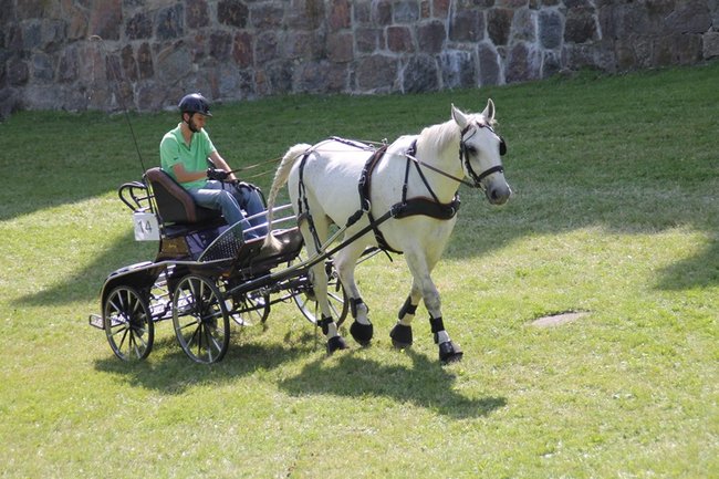 Niezwykle widowiskowa impreza - zdjęcia