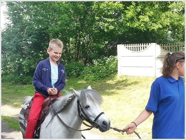 Trzy święta za jednym razem - zdjęcia