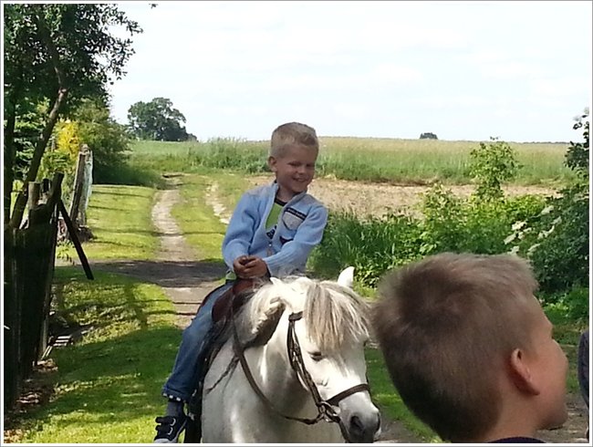 Trzy święta za jednym razem - zdjęcia