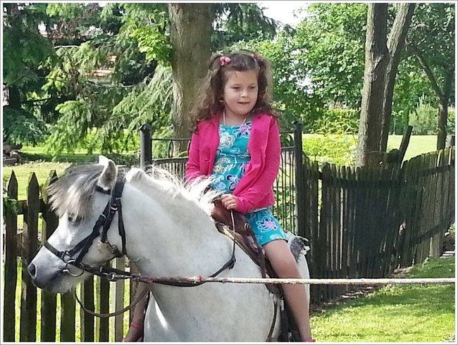 Trzy święta za jednym razem - zdjęcia