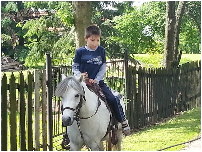 Trzy święta za jednym razem - zdjęcia