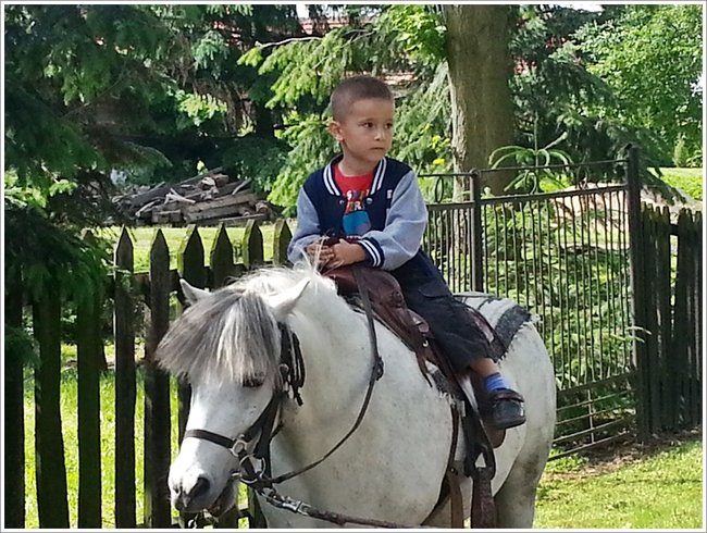 Trzy święta za jednym razem - zdjęcia