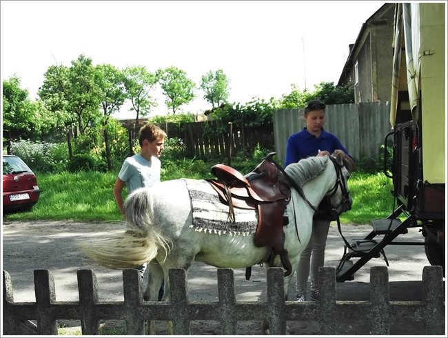 Trzy święta za jednym razem - zdjęcia