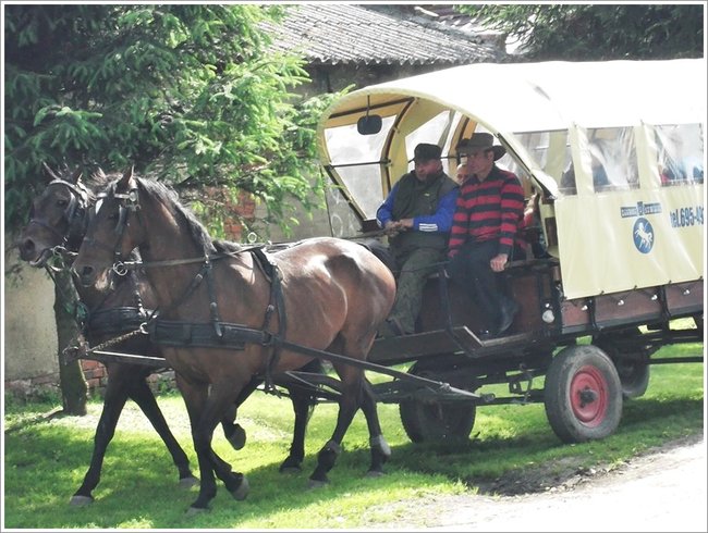 Trzy święta za jednym razem - zdjęcia